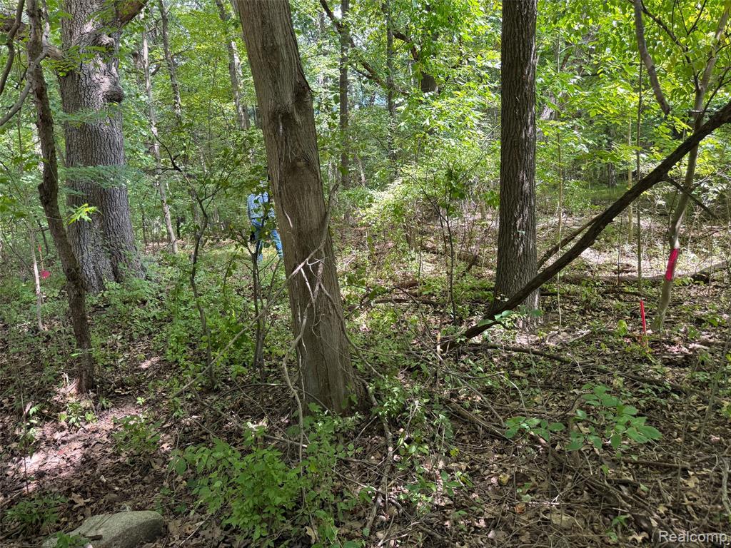 3711 Baldwin Road, Metamora, MI 48455 — Photo 68
