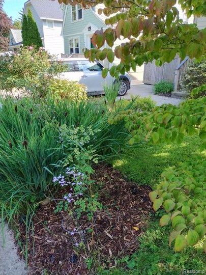 1407 CHARLTON Avenue, Ann Arbor, MI 48103 — Photo 40