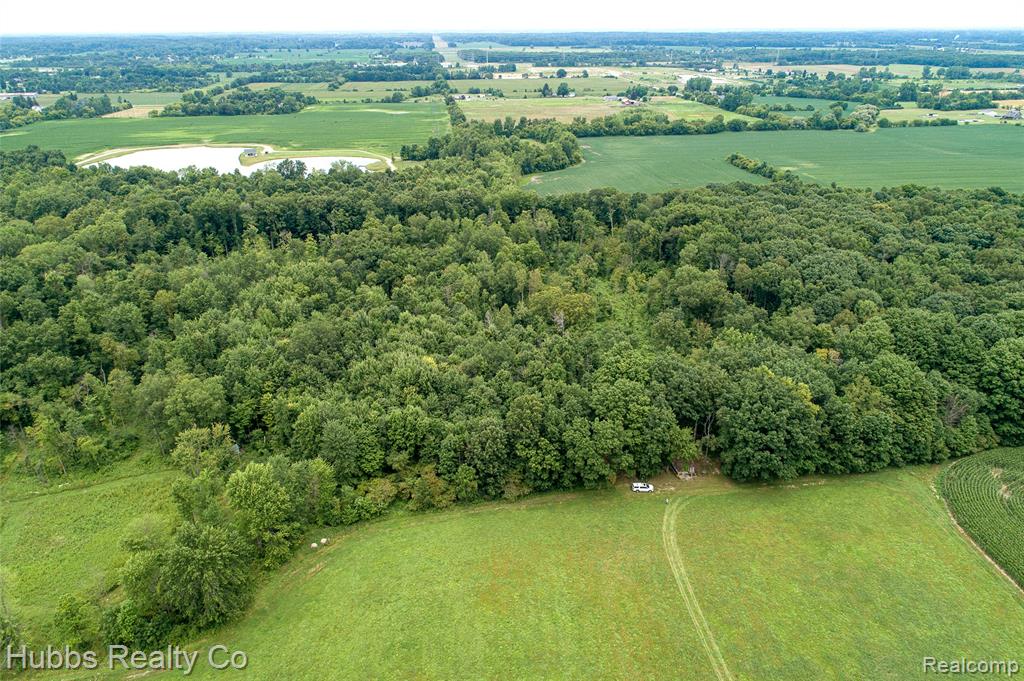 4251 E Frances Road, Mount Morris, MI 48458 — Photo 46