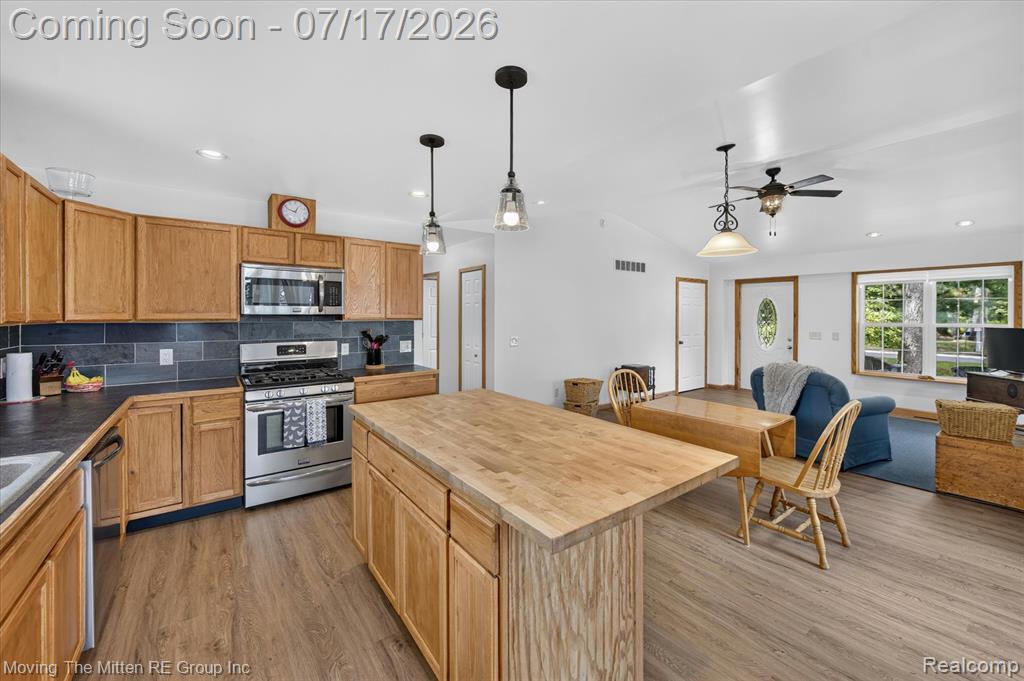 744 S Park Street, Highland, MI 48356 — Photo 15