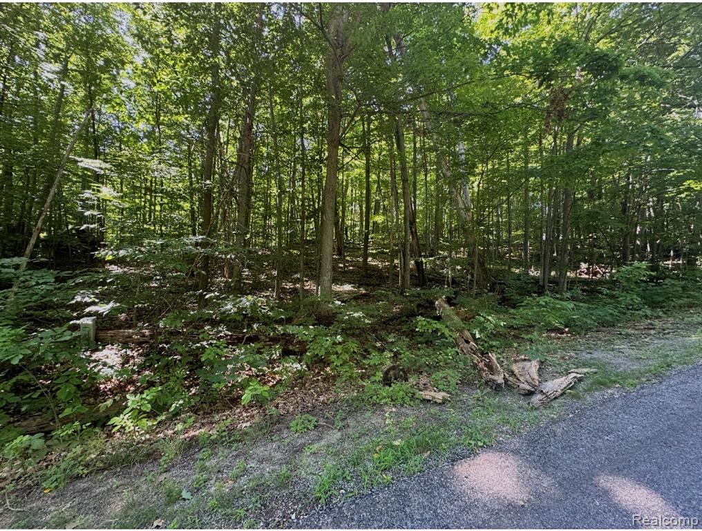 Lot 185 Forestgrove Court ForestGrove Road, Mancelona, MI 49730 — Photo 6
