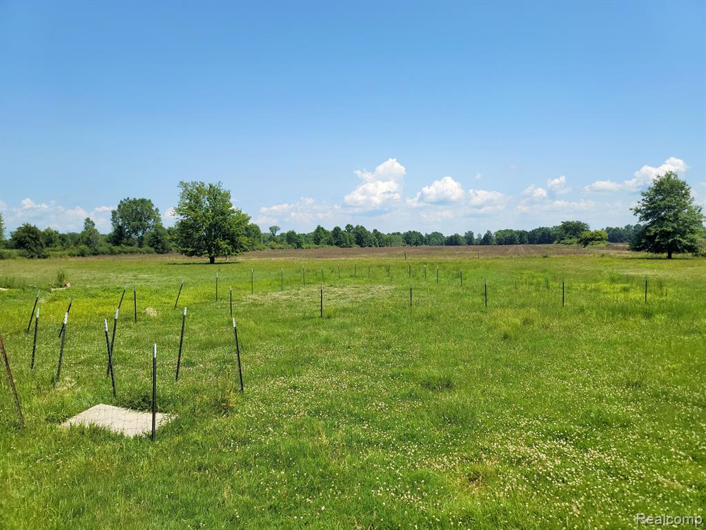 5779 CHURCH Road, Casco, MI 48064 — Photo 30