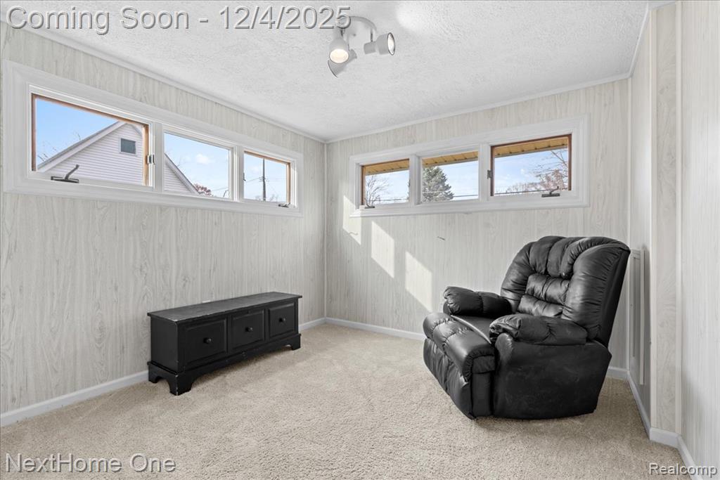 60658 Sue Street, Lyon, MI 48178 — Photo 13