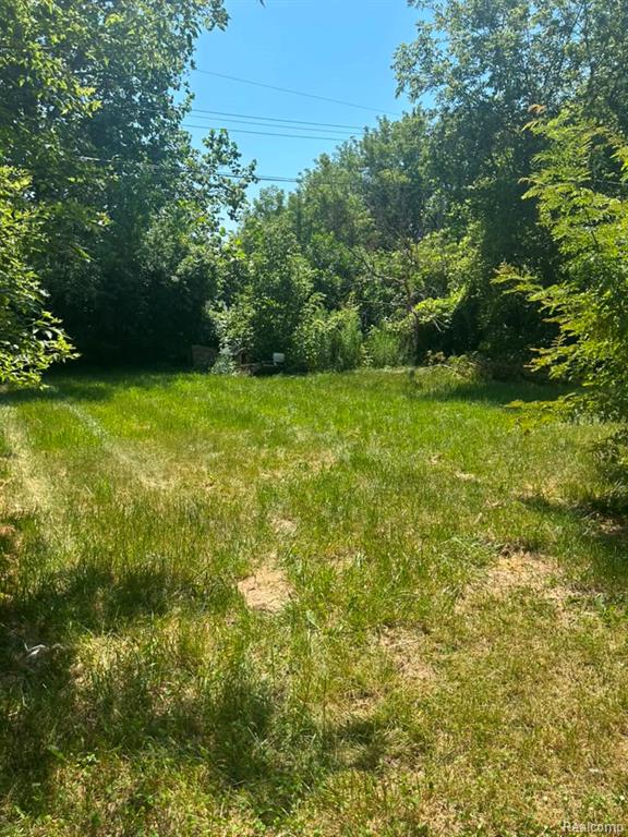 1201 Oleander Drive, Mount Morris, MI 48458 — Photo 20