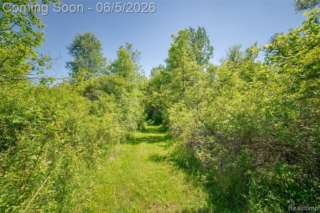 7016 Davison Road, Davison, MI 48423 — Photo 37