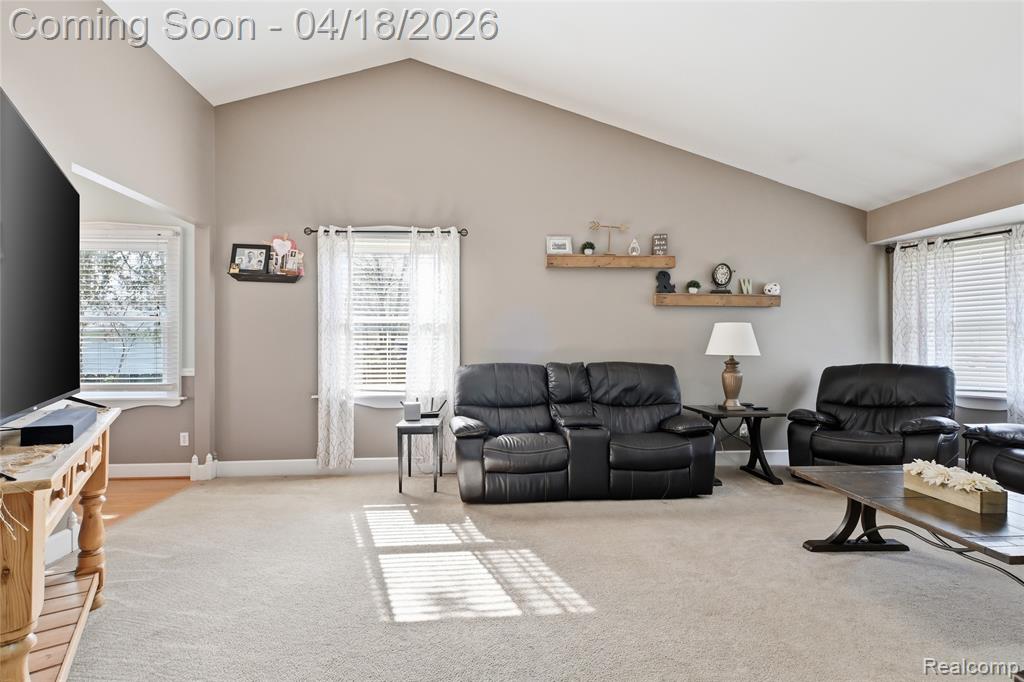 503 W Hamburg Street, Pinckney, MI 48169 — Photo 5