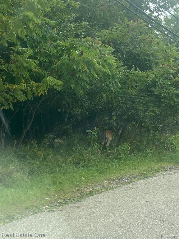 0000 Blue Jay Way, West Bloomfield, MI, 00000