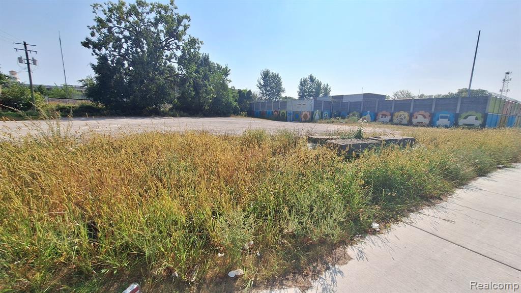 572 E MILWAUKEE Street, Detroit, MI 48202 — Photo 3