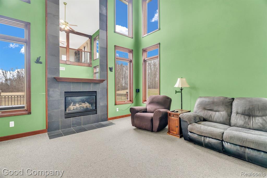10700 LAMBS Road, Riley, MI — Photo 4