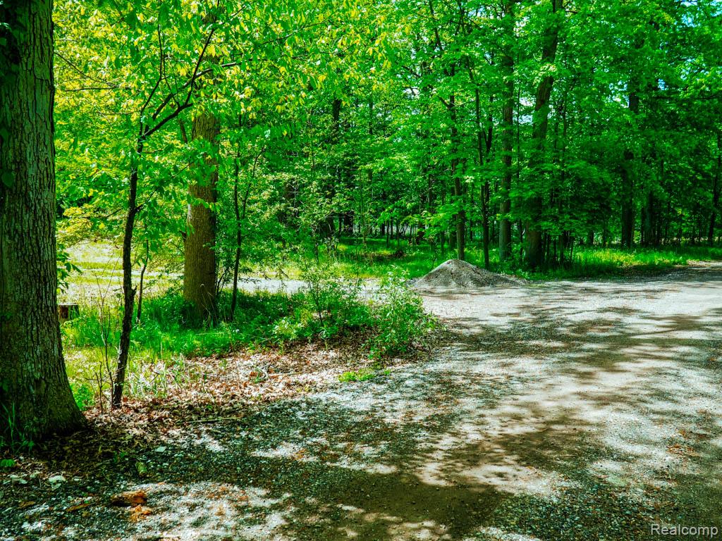 C-1 DOA Lane, Brighton, MI 48114 — Photo 4
