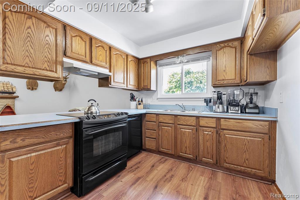 22019 Hanover Court, Woodhaven, MI 48183 — Photo 5