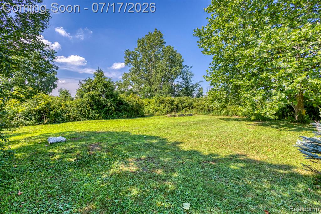 9805 Dolan Road, Columbus, MI — Photo 36