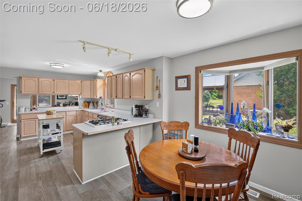 13231 Linda Vista Street, Belleville, MI 48111 — Photo 10