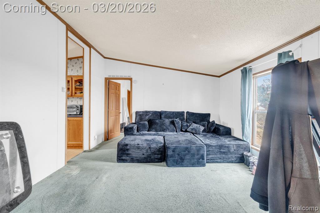 7151 Martin Road, Imlay City, MI 48444 — Photo 12