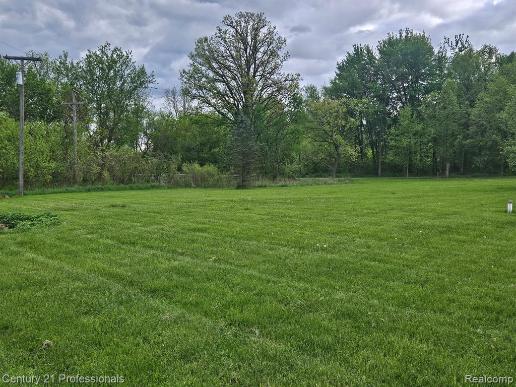 1451 ASHLYN Court, Fowlerville, MI 48836 — Photo 10