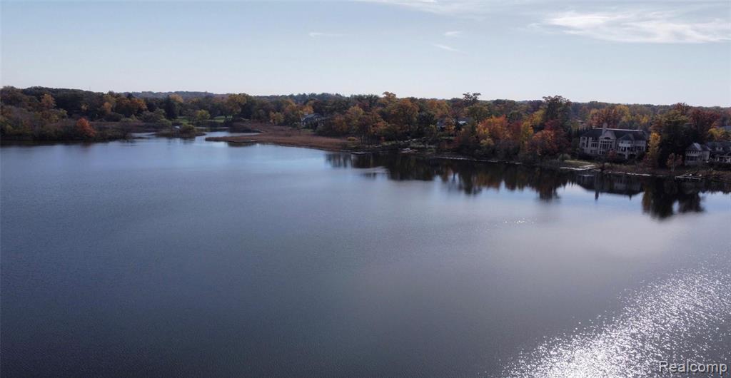 Water view featuring a forest