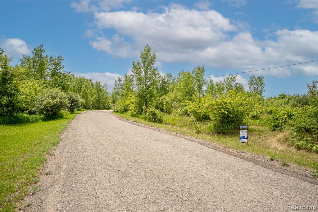 VL Fosland Farms Drive, Jackson, MI 49201 — Photo 10