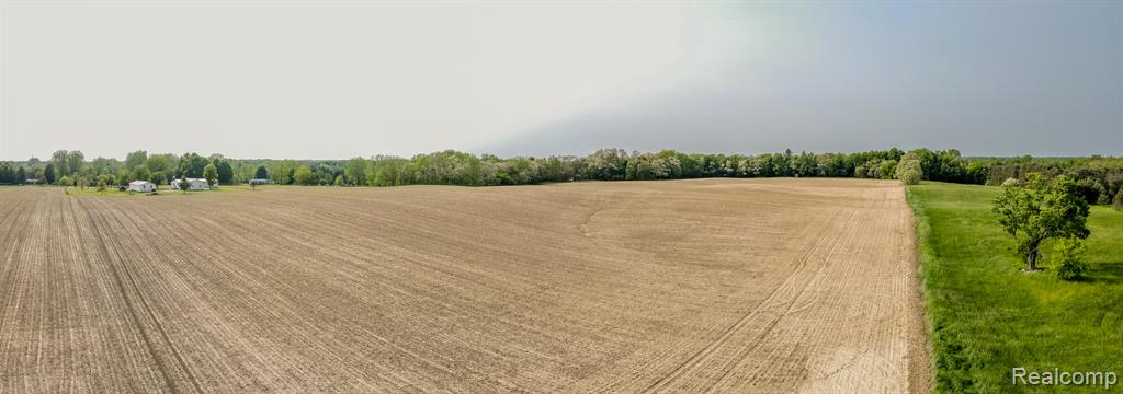 VL Mertz Road, Mayville Vlg, MI 48744 — Photo 7