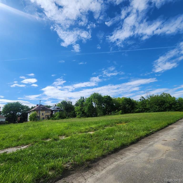 5040 FERNWOOD Street, Detroit, MI 48204 — Photo 4