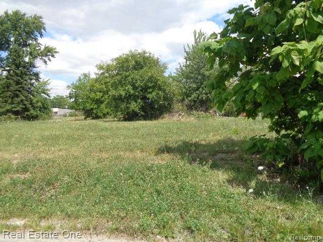 3354 15th Street - Photo 2