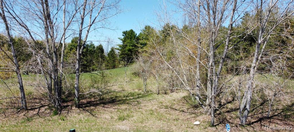 (Lot 18) S Walden Court, Suttons Bay, MI 49682 — Photo 3