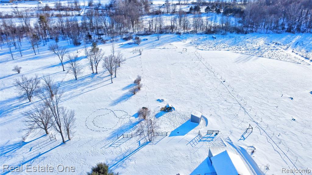 11392 E Carpenter Road, Davison, MI 48423 — Photo 37