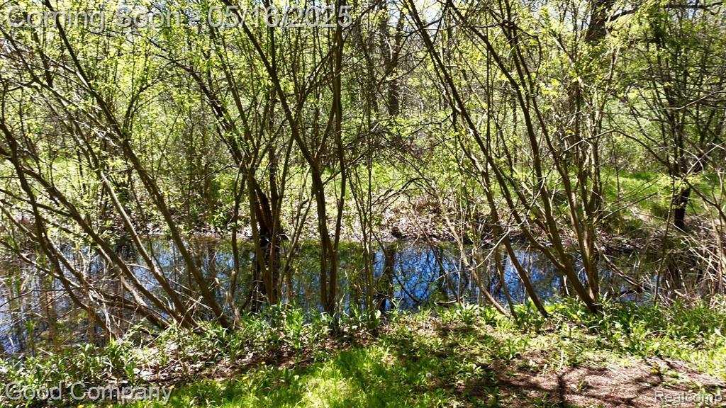 802 CANYON CREEK Drive, Holly, MI 48442 — Photo 75