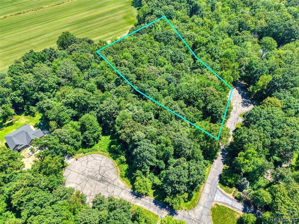 5663 Iosco Mountain Road, Gregory, MI 48137 — Photo 2