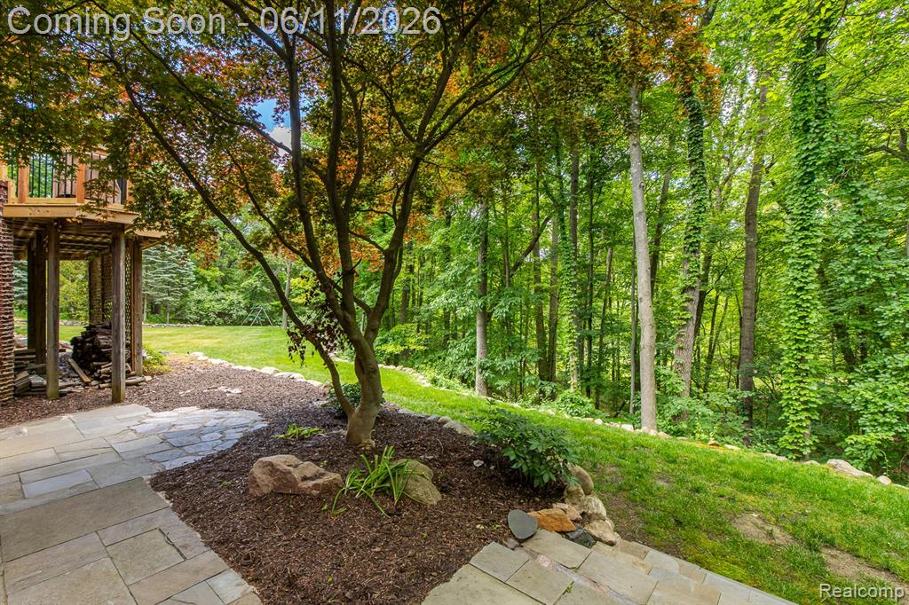 6265 Crest Forest Court E, Clarkston, MI 48348 — Photo 82