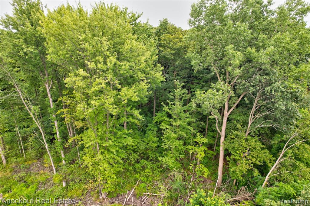 8000 Roedel Road, Frankenmuth, MI 48734 — Photo 13