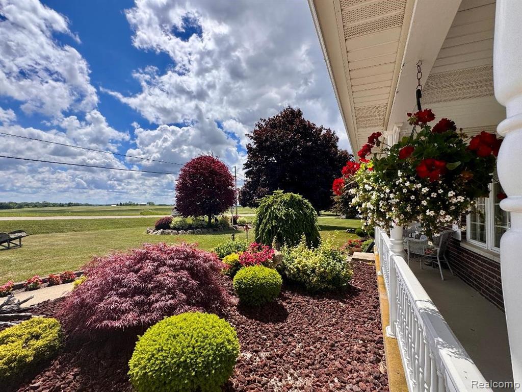 6686 Schott Road, Mayville Vlg, MI 48744 — Photo 8