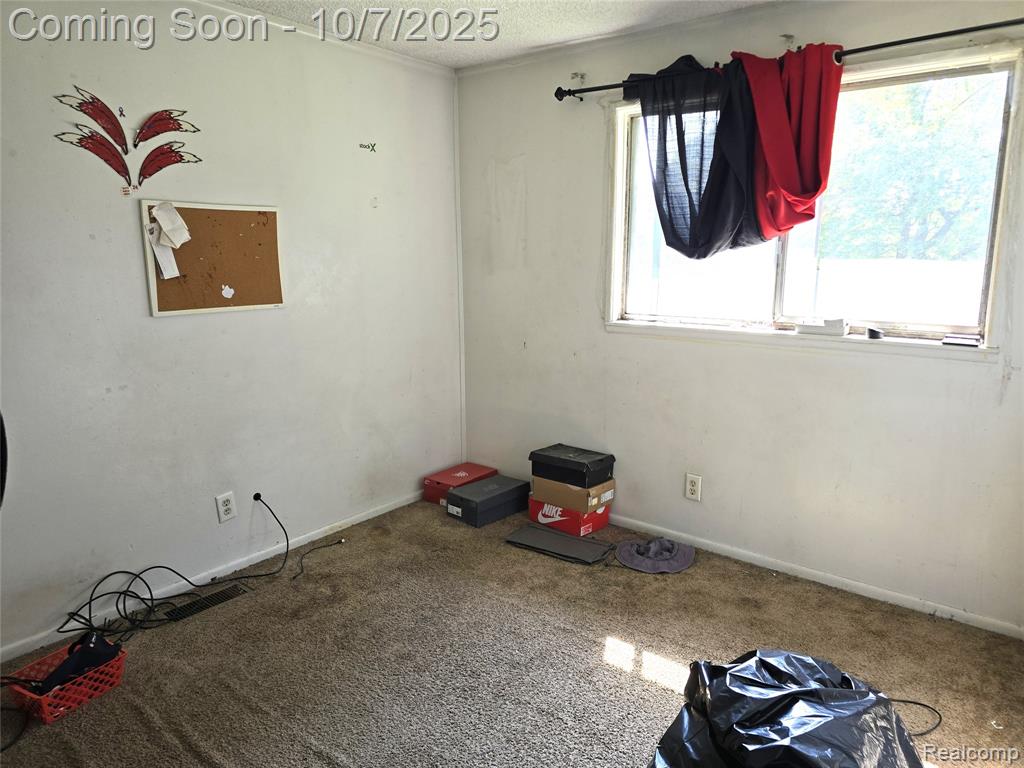 50 Michigan Street, Mount Clemens, MI 48043 — Photo 13