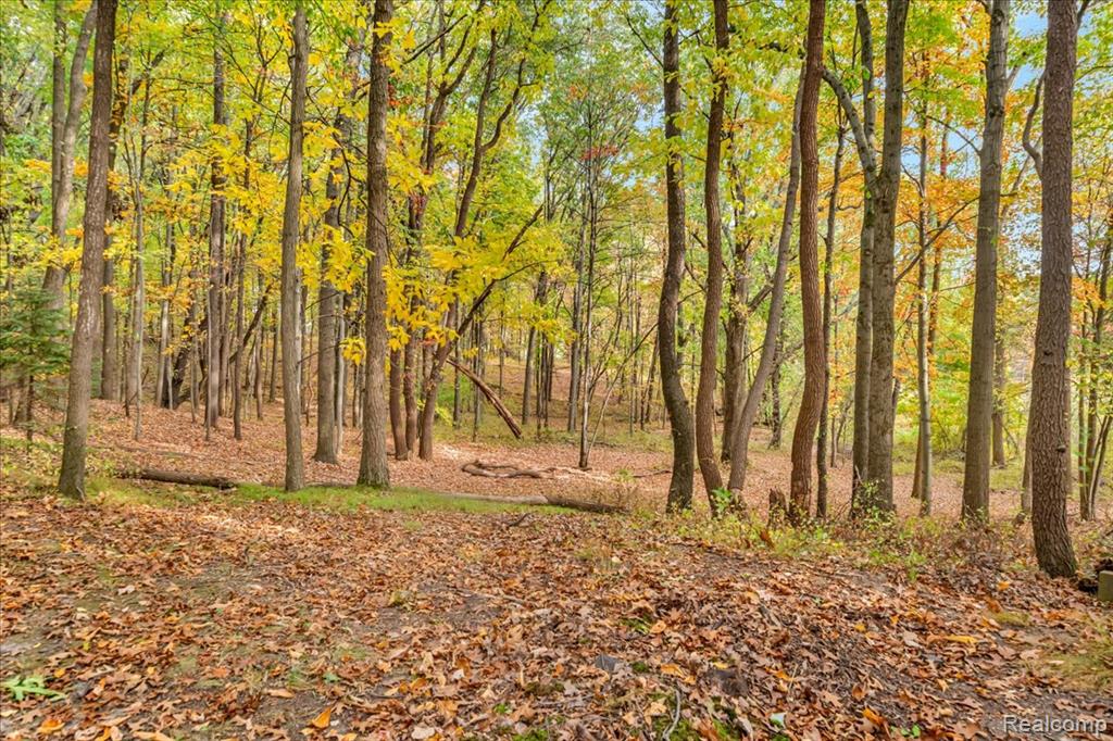 1502 Hosner Road, Oxford, MI 48370 — Photo 57