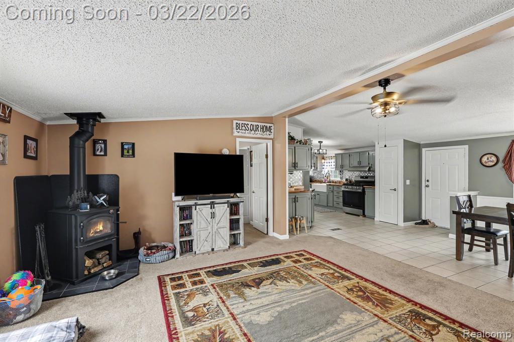 4458 Palms Road, Casco, MI 48064 — Photo 8