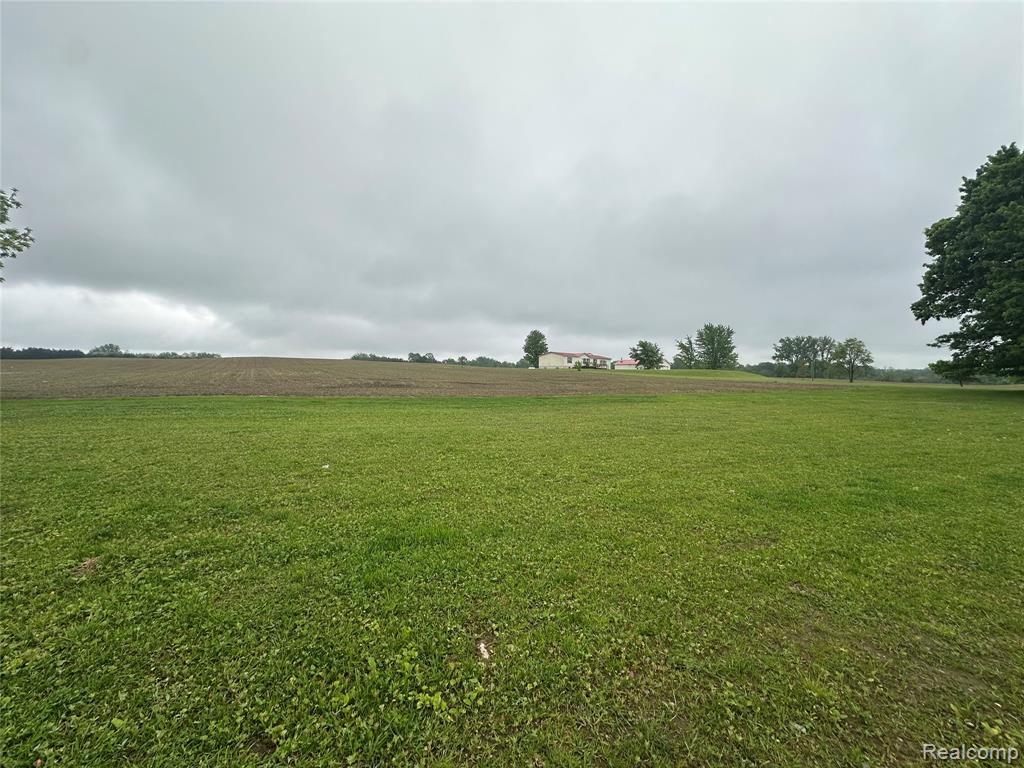 VL Mertz Road, Mayville Vlg, MI 48744 — Photo 16