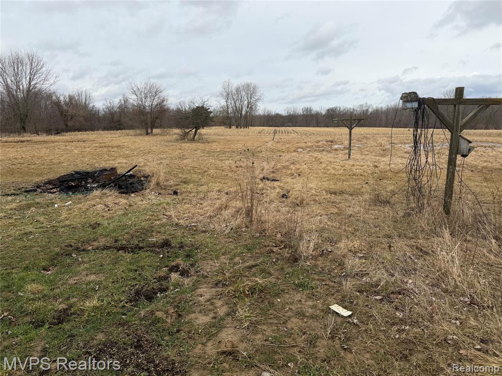 12113 E Carpenter Road, Davison, MI 48423 — Photo 10
