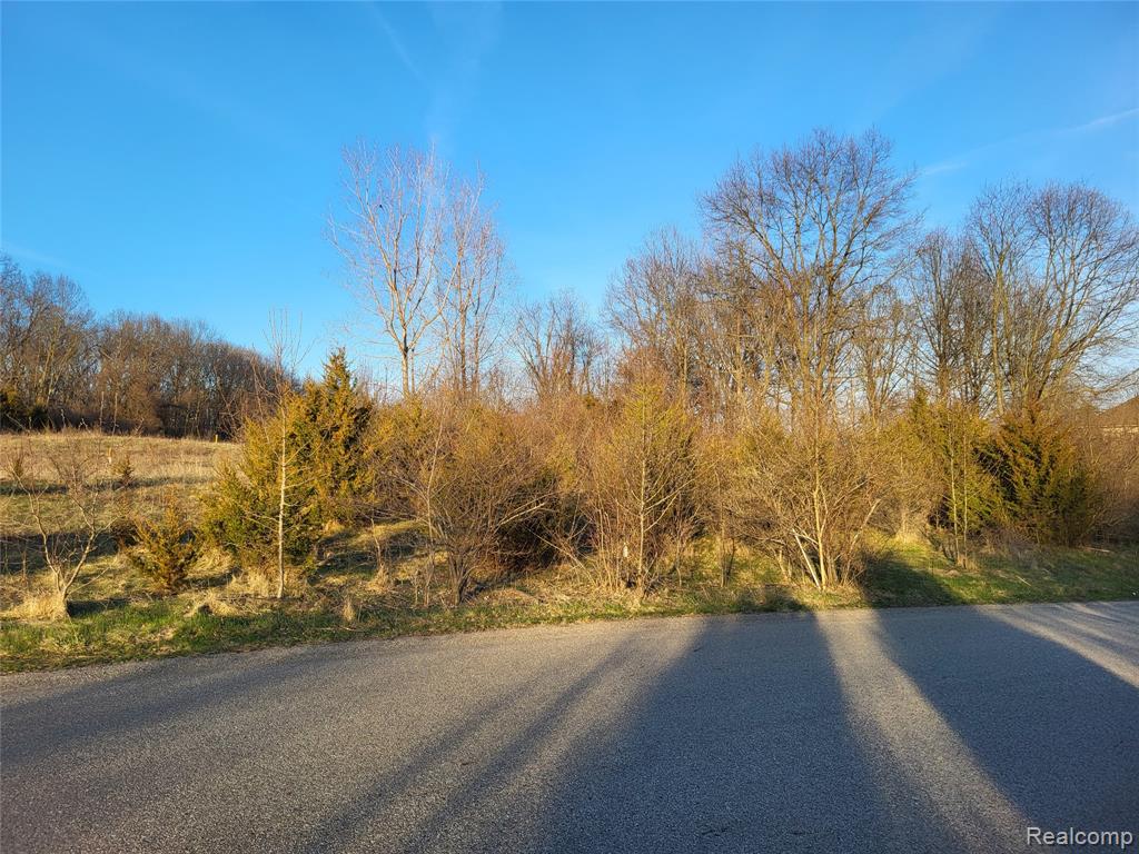 TBD Parcel C Olivia Drive, Milford, MI 48380 — Photo 4