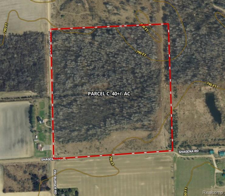 Parcel C Freiburger Rd, Snover, MI 48472 — Photo 2
