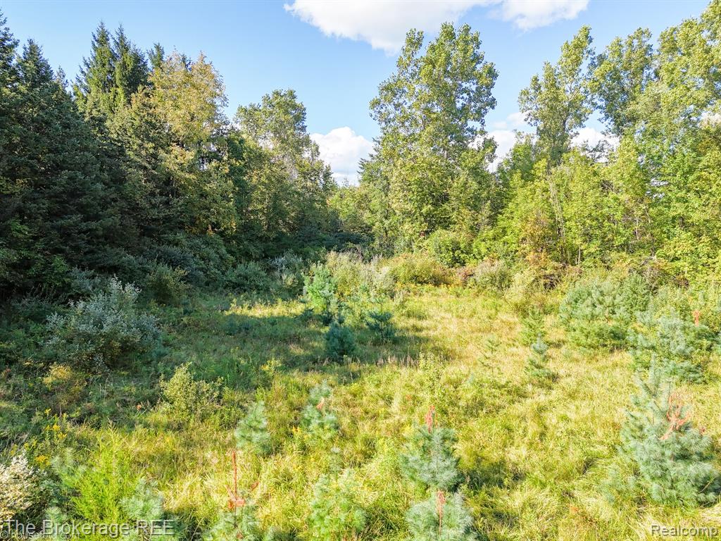 8439 Burpee Road, Grand Blanc, MI 48439 — Photo 51