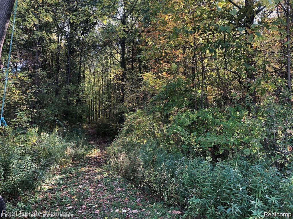 7627 Lapeer Road, Wales, MI — Photo 2