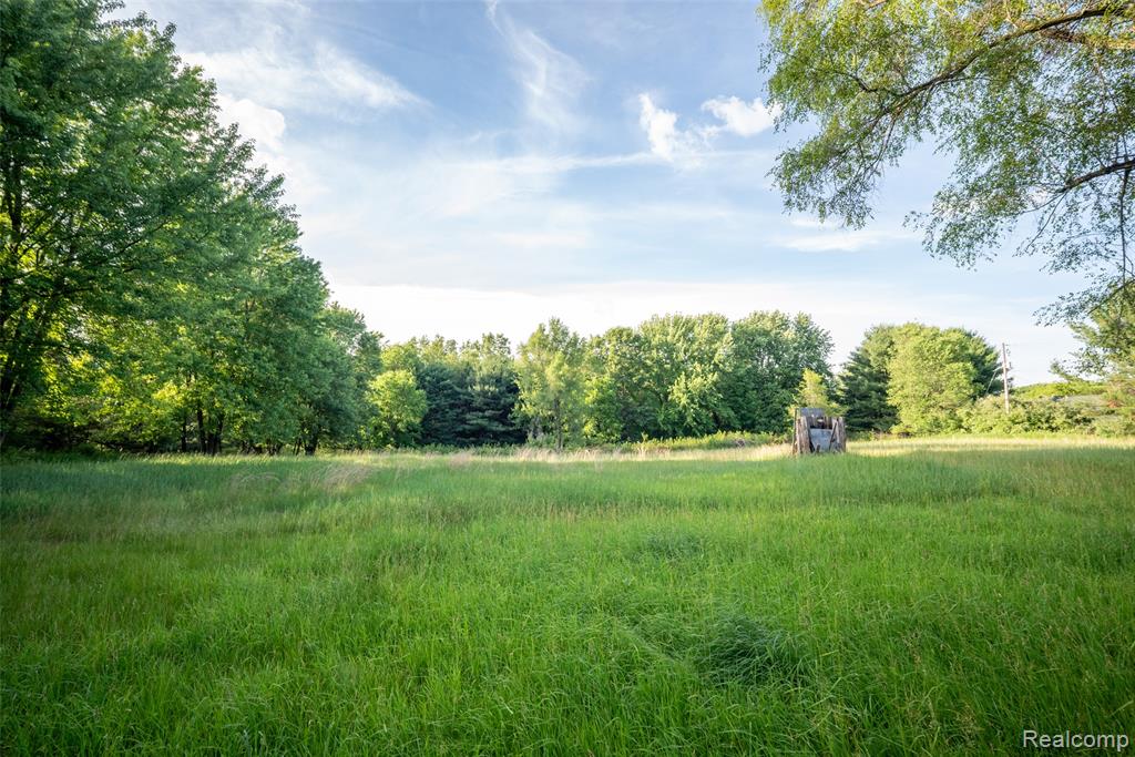 13882 Curtis Road, Grass Lake, MI 49240 — Photo 32