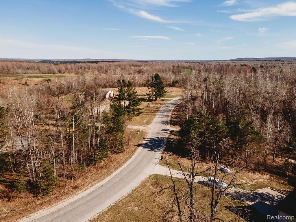 7186 Pineview Drive, Mancelona, MI 49659 — Photo 67