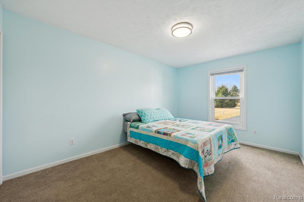 5817 CARTER, Howell, MI 48843 — Photo 21