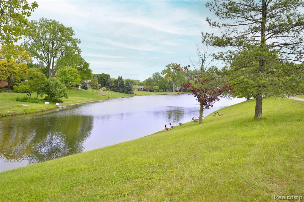 6835 Limerick Lane, Troy, MI 48098 — Photo 34