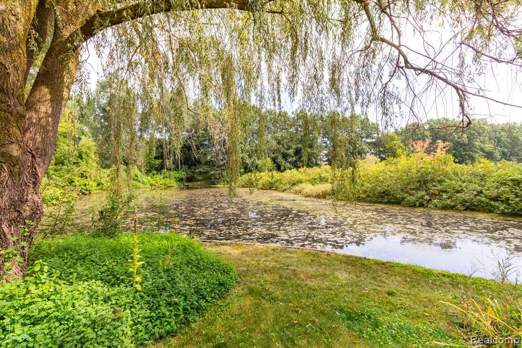 5470 MILL RACE Way, Commerce Twp, MI 48382 — Photo 50