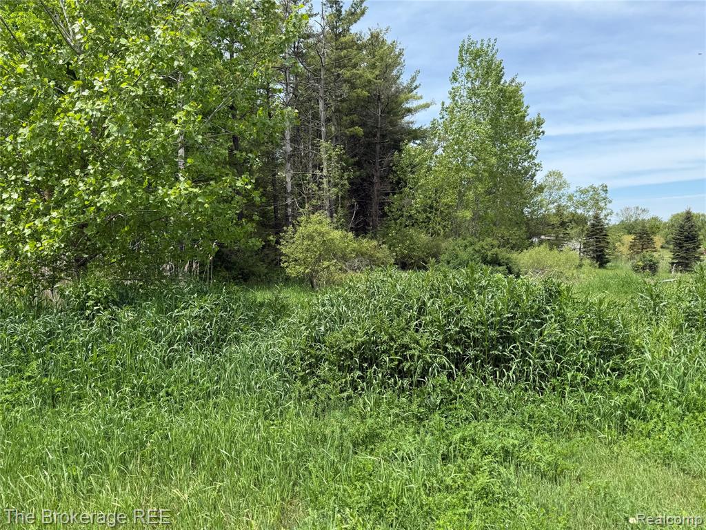 3020 Merwin Road, Lapeer, MI, 48446