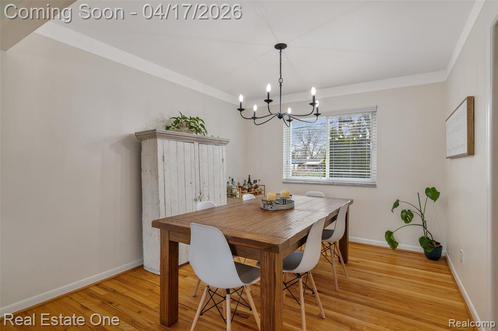 Dining room featuring light wood-style floors, crown molding, and a chandelier