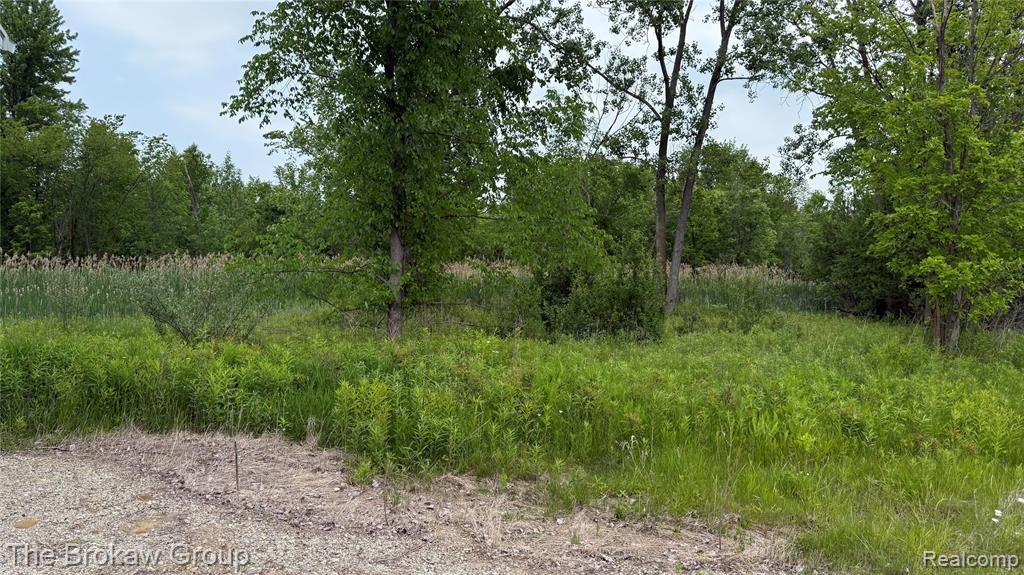 10696 Dunnigan Road, Emmett, MI 48022 — Photo 3