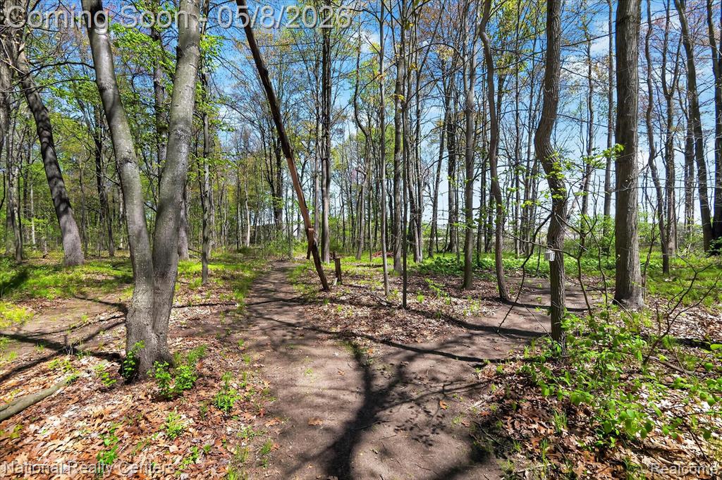 38982 Wabash Street, Romulus, MI 48174 — Photo 35