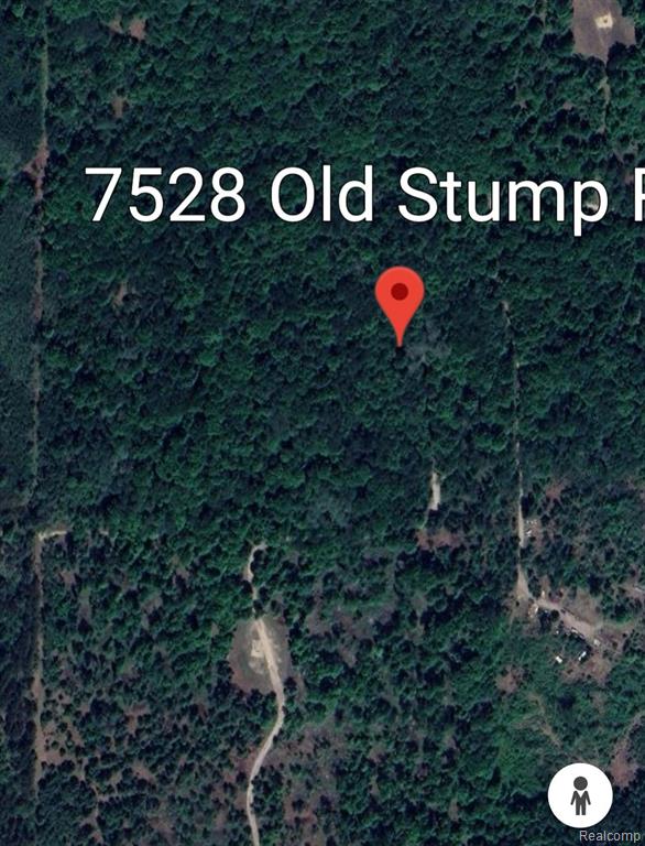 7528 OLD STUMP Road, Gaylord, MI 49735 — Photo 34